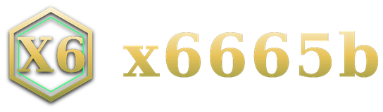 x6665b logo